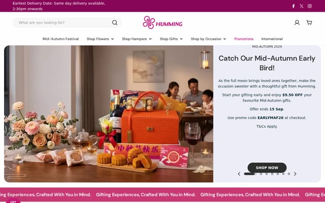 Screenshot of hummings.com