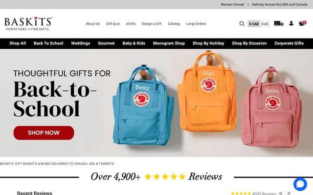 Screenshot of baskits.com