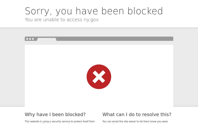 Screenshot of ny.gov