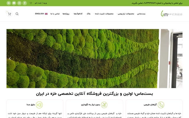 Screenshot of bestmoss.com