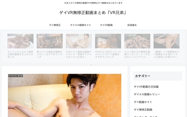 Screenshot of vrgay.tokyo