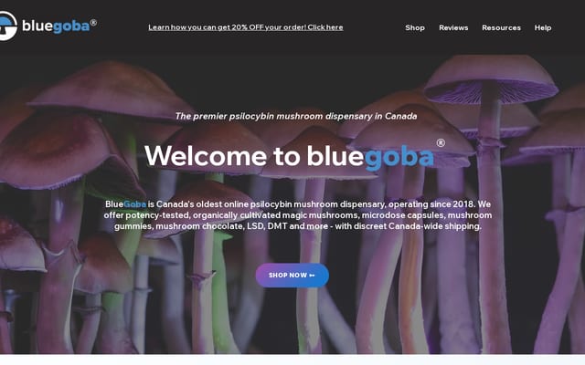 Screenshot of bluegoba.com