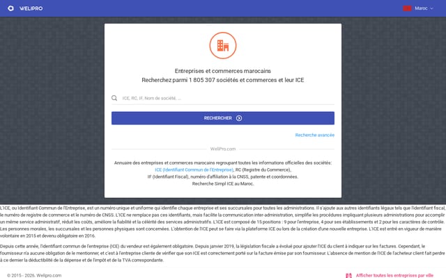 Screenshot of welipro.com