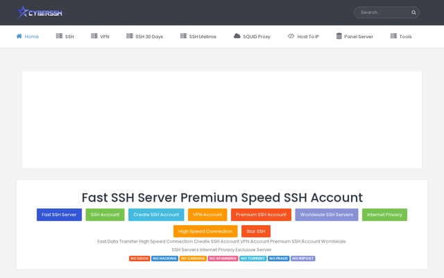 Screenshot of cyberssh.com