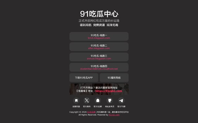 Screenshot of 91cg.biz
