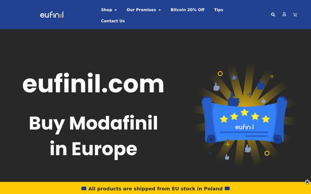 Screenshot of eufinil.com