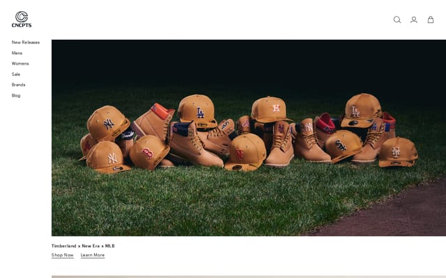 Screenshot of cncpts.com