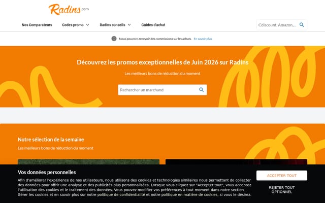 Screenshot of radins.com