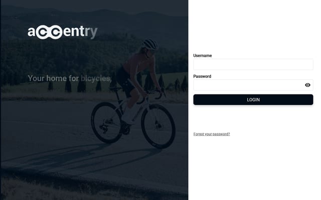Screenshot of accentry.com