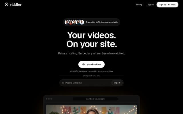 Screenshot of viddler.com