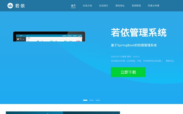 Screenshot of ruoyi.vip