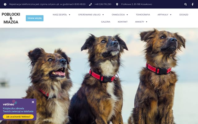 Screenshot of poblocki-miazga.pl