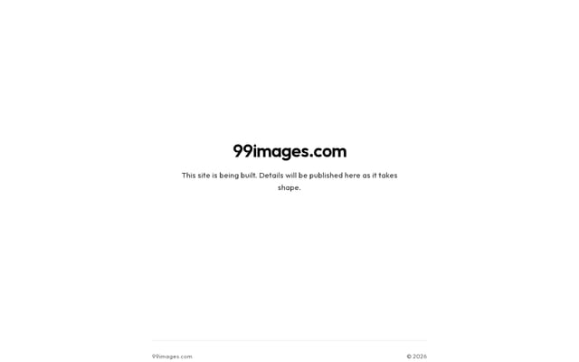 Screenshot of 99images.com
